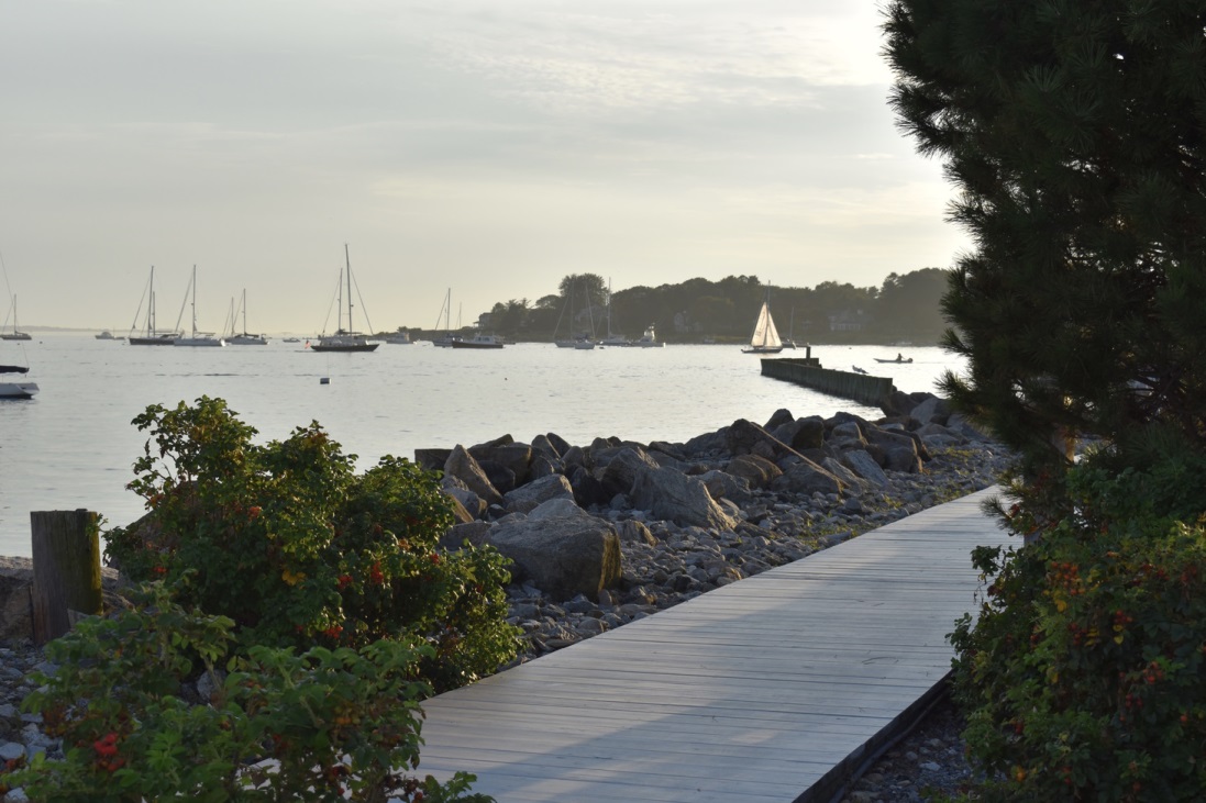 scenery 1
