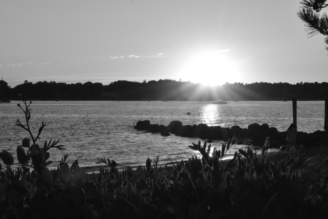 scenery 7